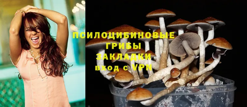 Псилоцибиновые грибы MAGIC MUSHROOMS  нарко площадка телеграм  Губкин  купить закладку 